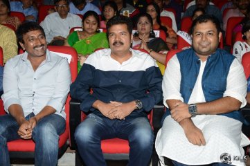 Aagadu Movie Audio Launch